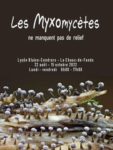 Les Myxcomycètes -flyer de l'expo